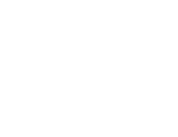 Nayaa_logo_bco_nosotros